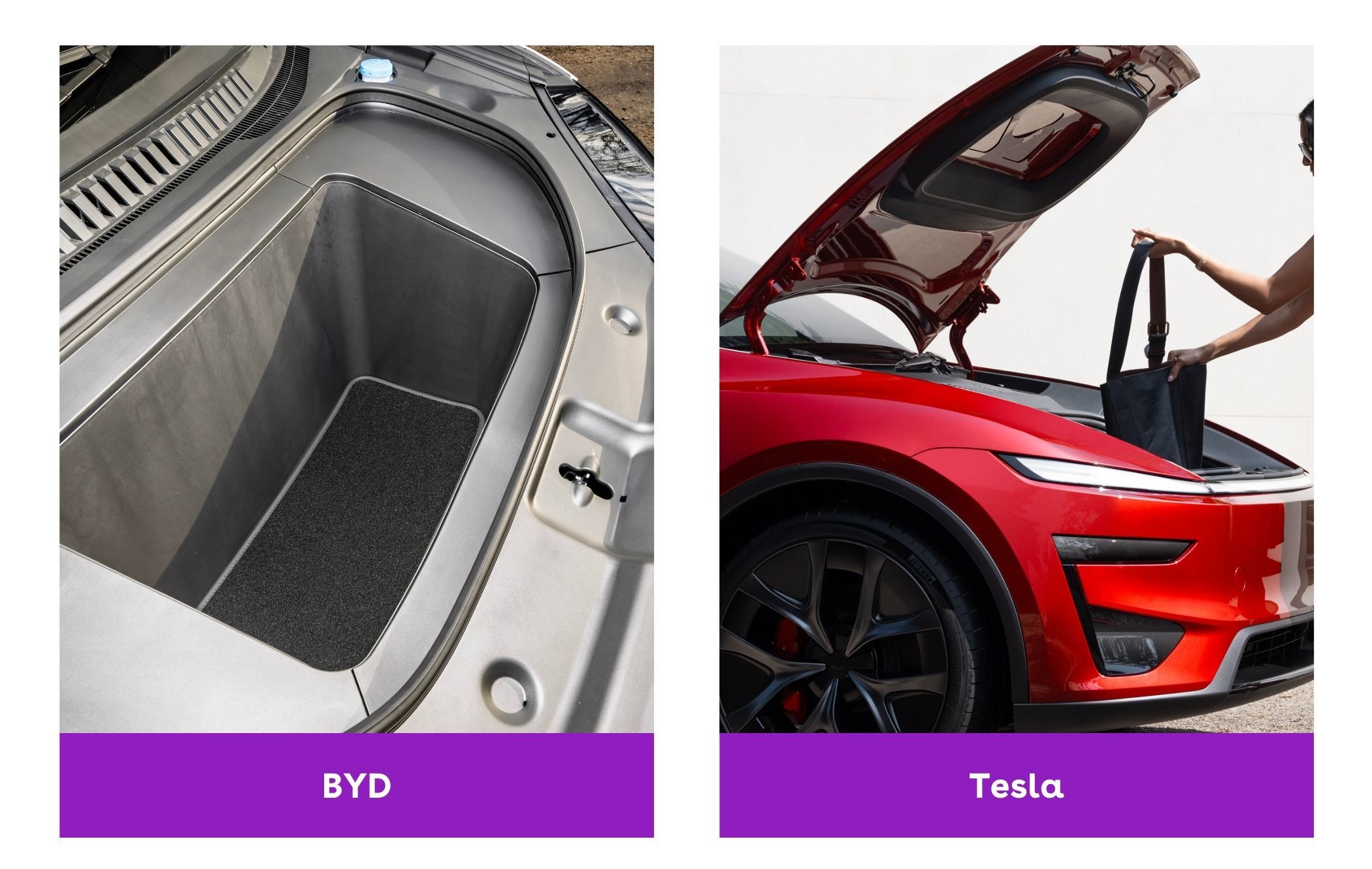 BYD vs. Tesla