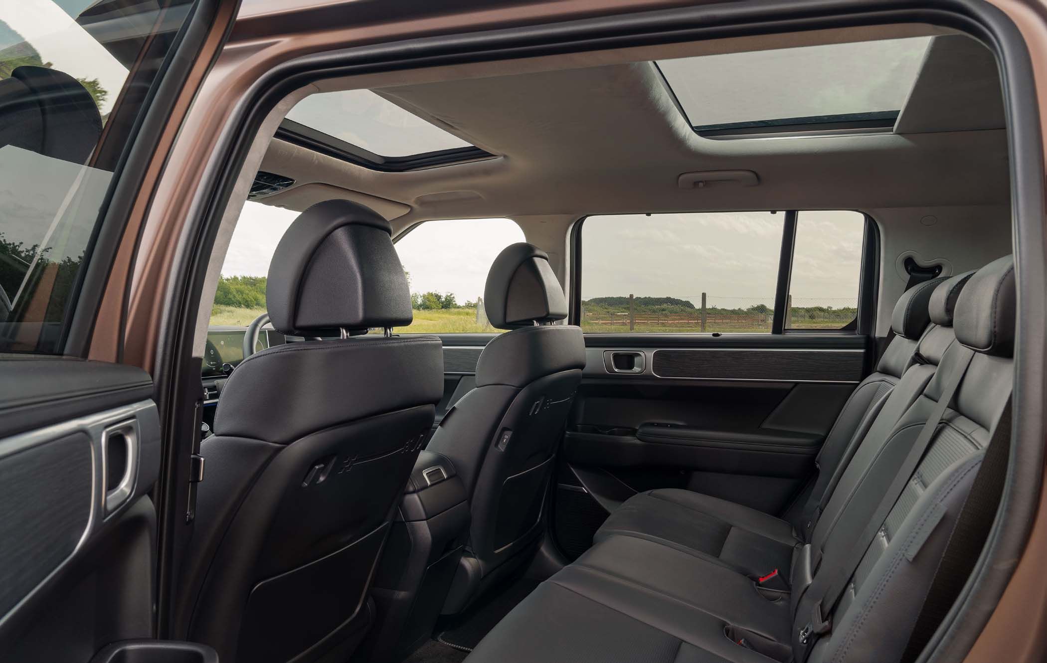 Interior view of a Hyundai Santa Fe showing black leather seats and a panoramic sunroof, with an open door framing an outside view of greenery.