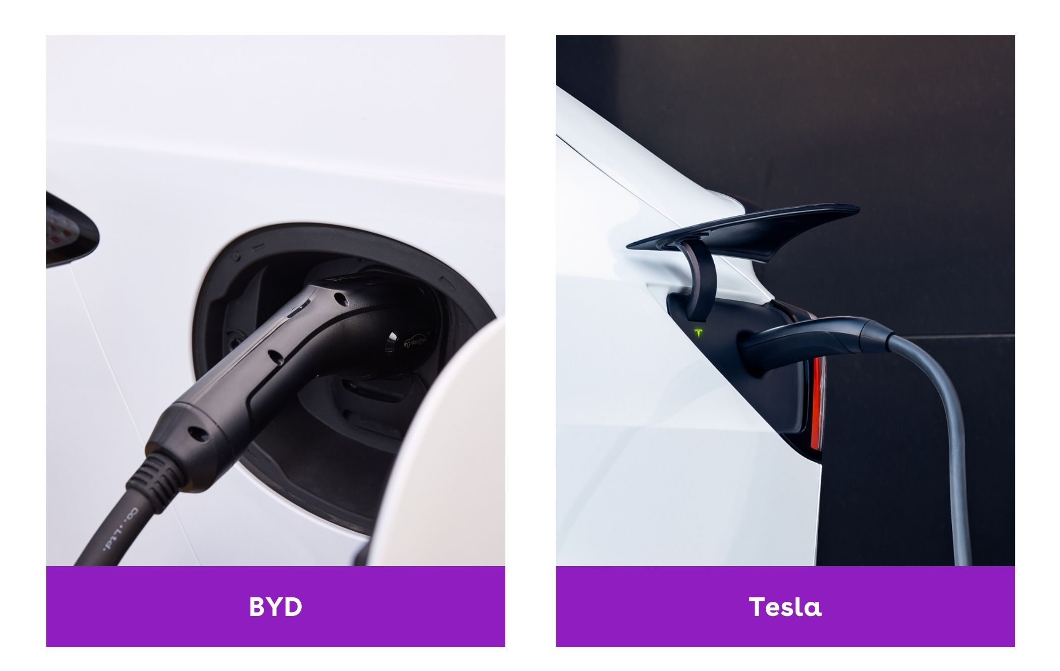 BYD vs. Tesla