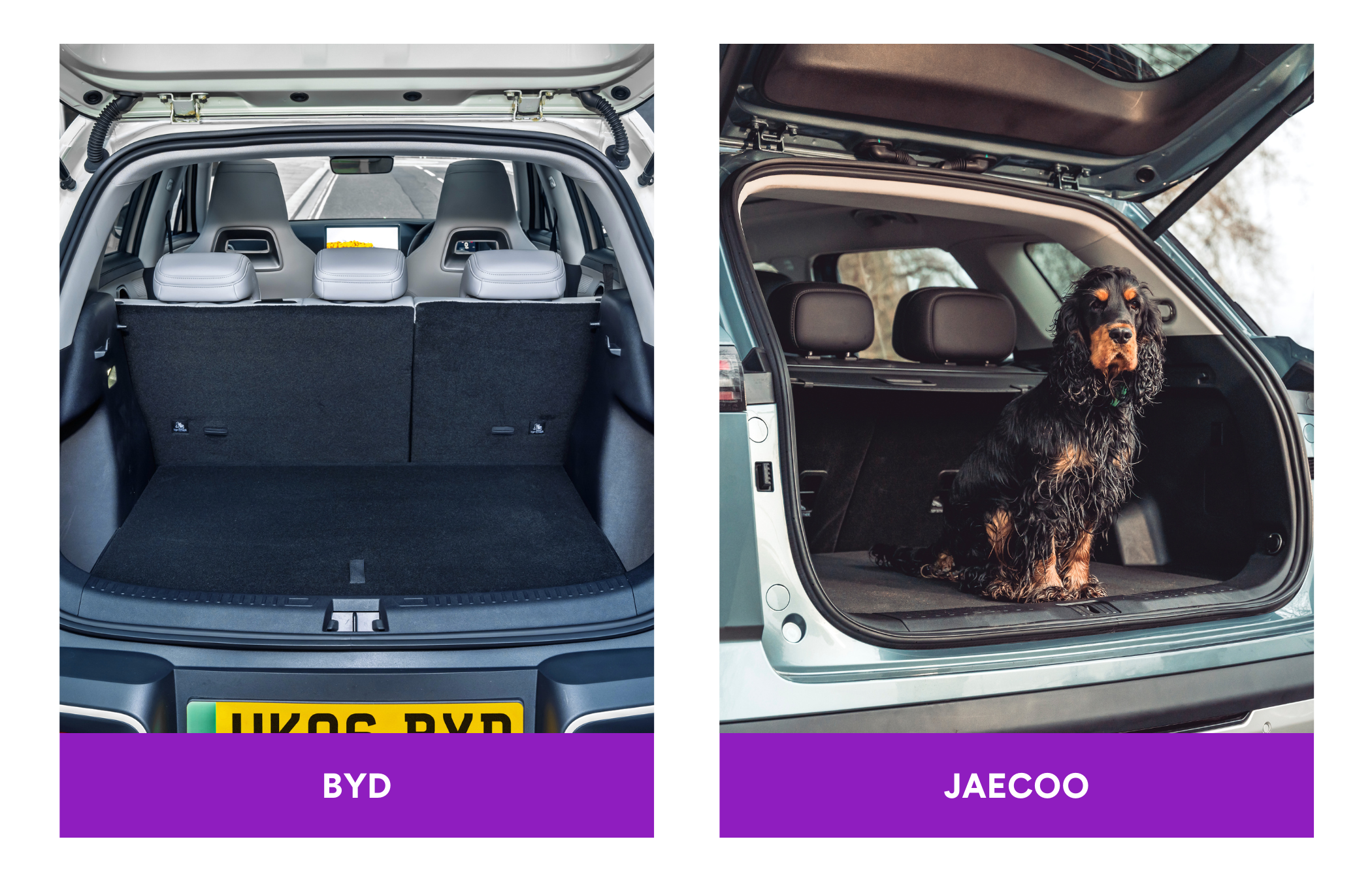 On the left, an open empty car trunk; on the right, a dog sitting in an open car trunk.