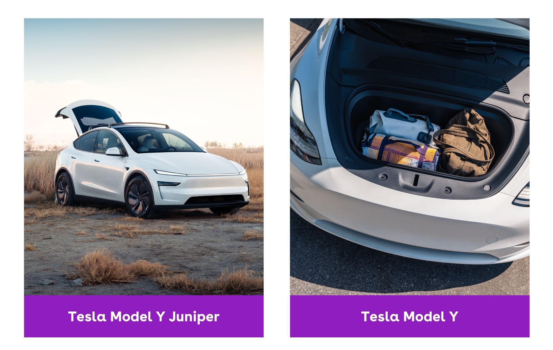 Tesla Model Y Juniper vs. Model Y