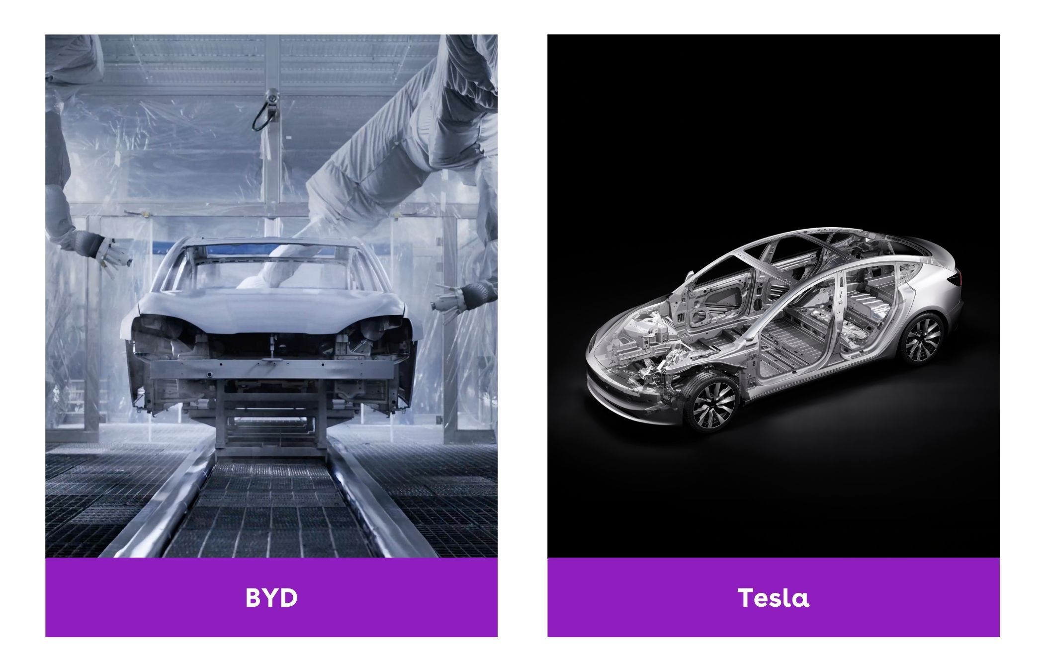 BYD vs. Tesla