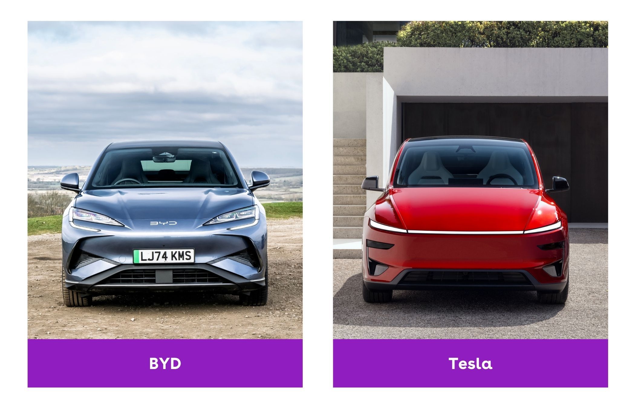 BYD vs. Tesla