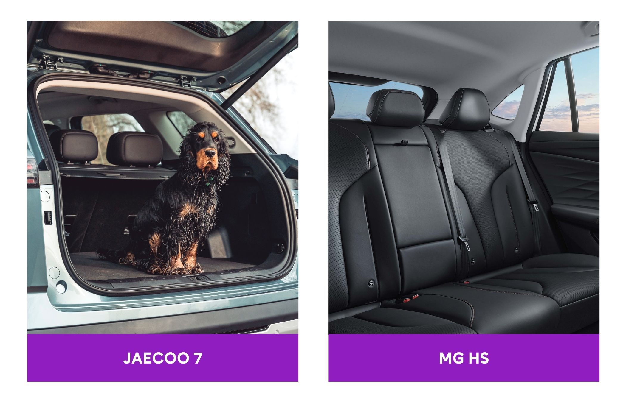 Side-by-side comparison of the JAECOO 7 and MG HS