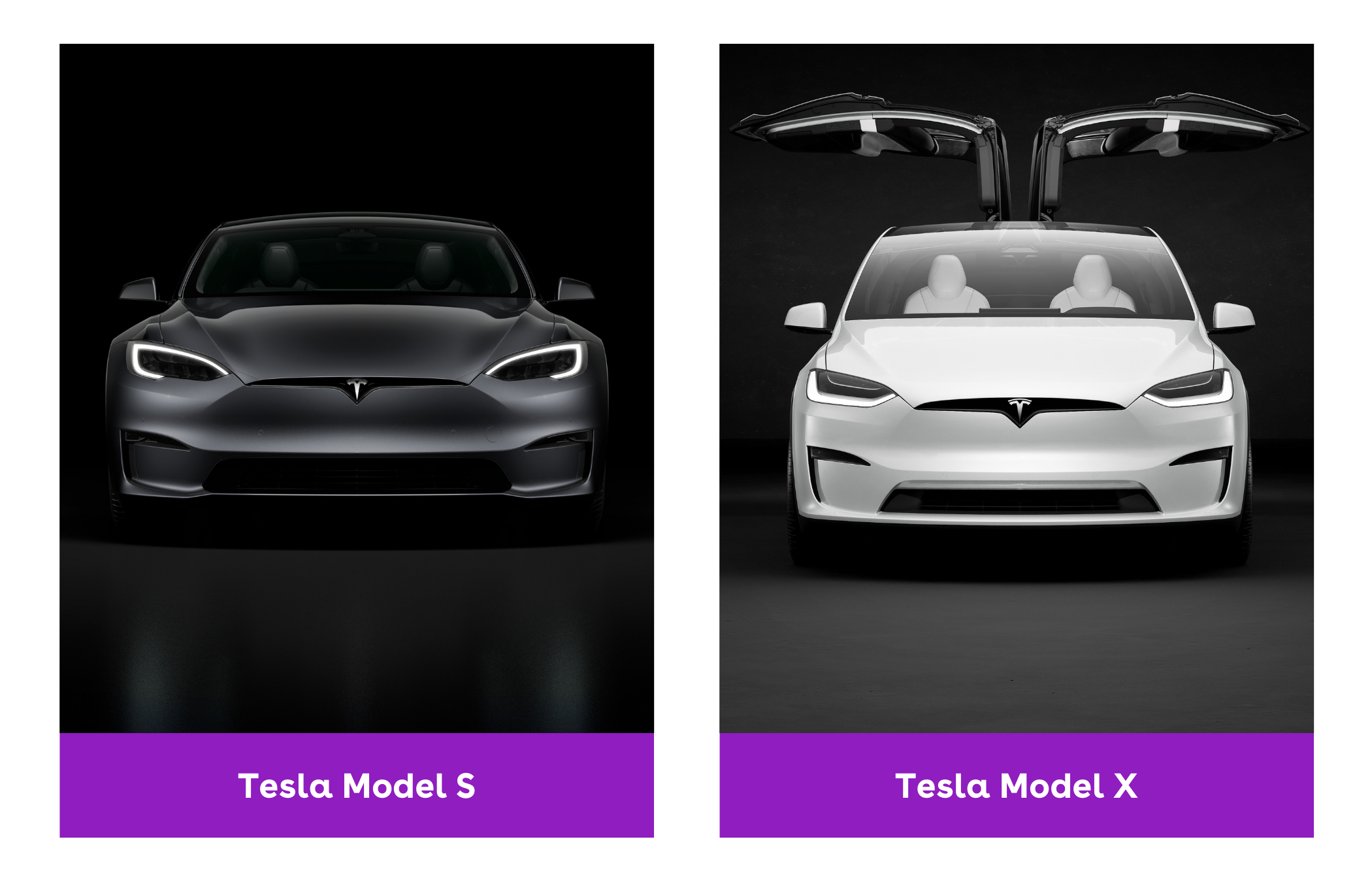 Side-by-side view of grey Tesla Model S and white Tesla Model X in dark rooms