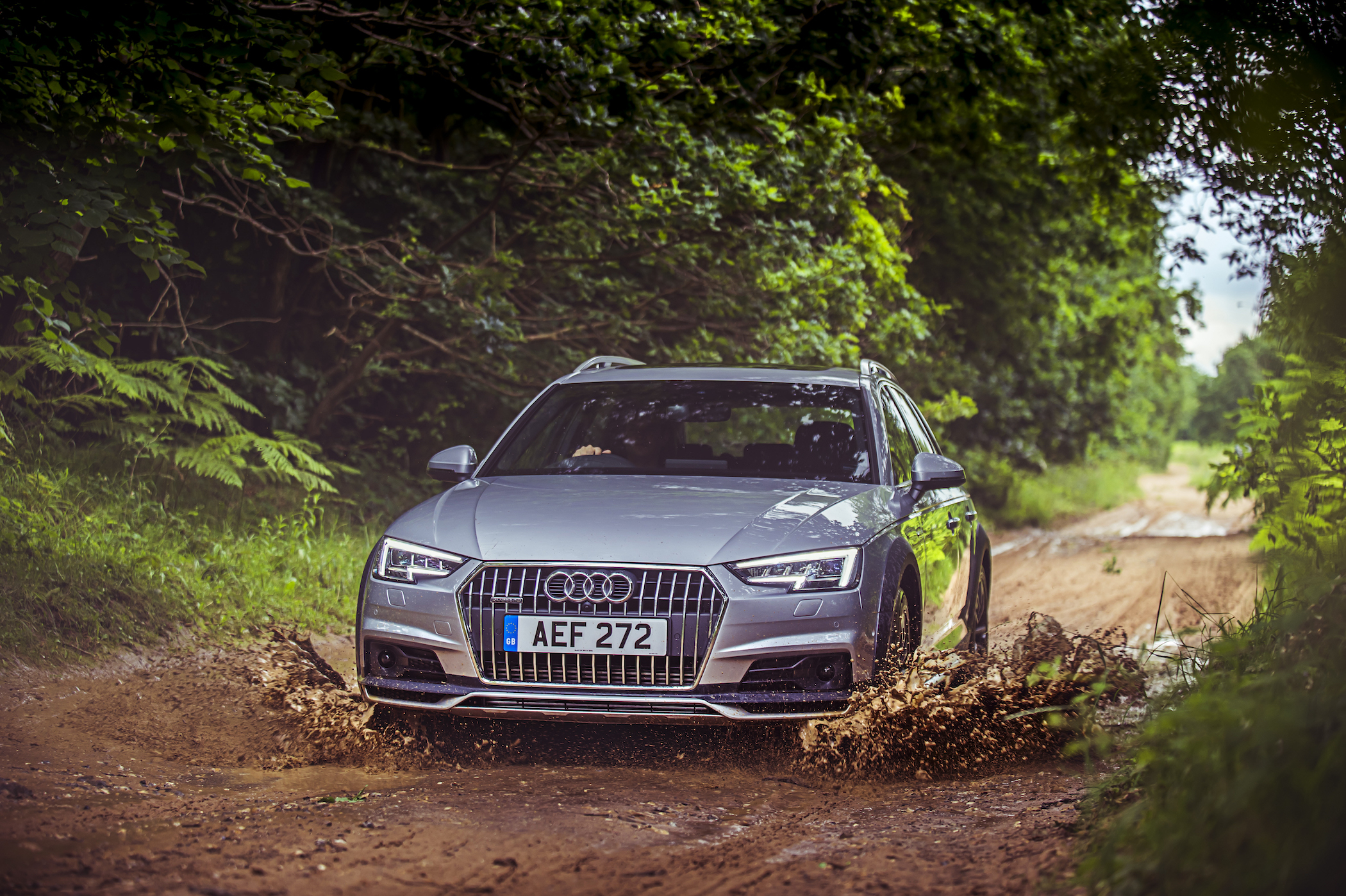 a silver audi a4 allroad driving through muddy water in a forest