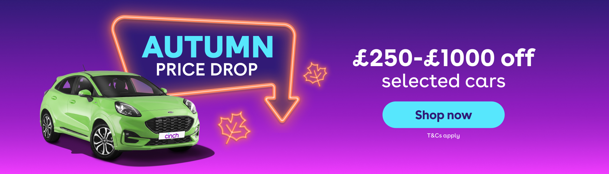 £250-£1000 off selected cars