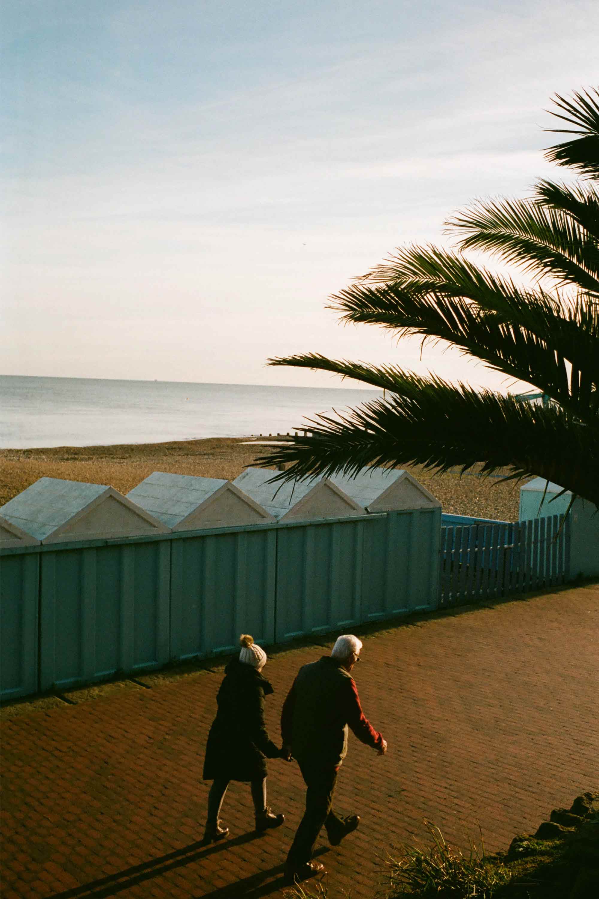 Monokel Eyewear sunglasses eclipse