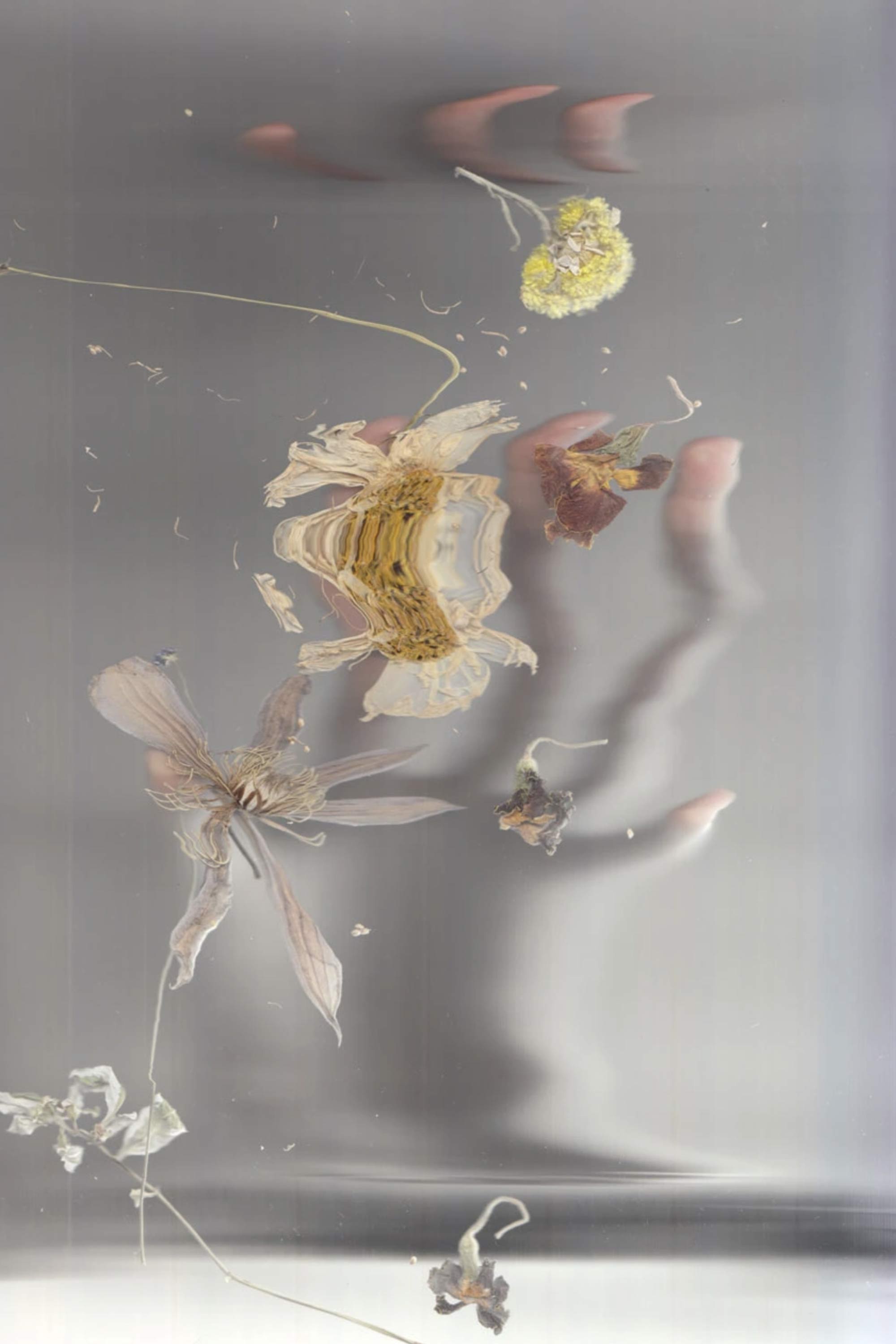 Monokel Eyewear sunglasses raven matt grey