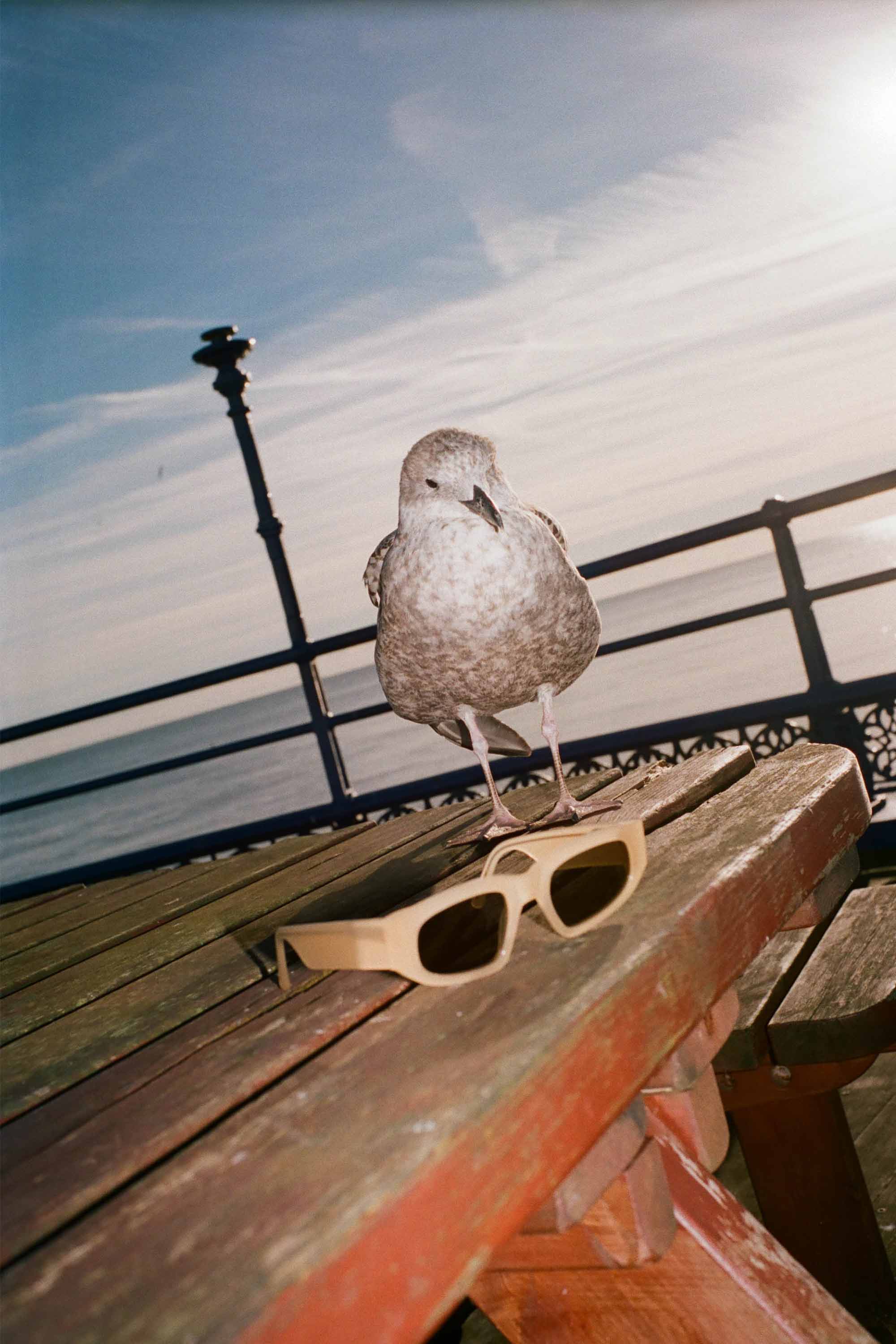 Monokel Eyewear sunglasses eclipse