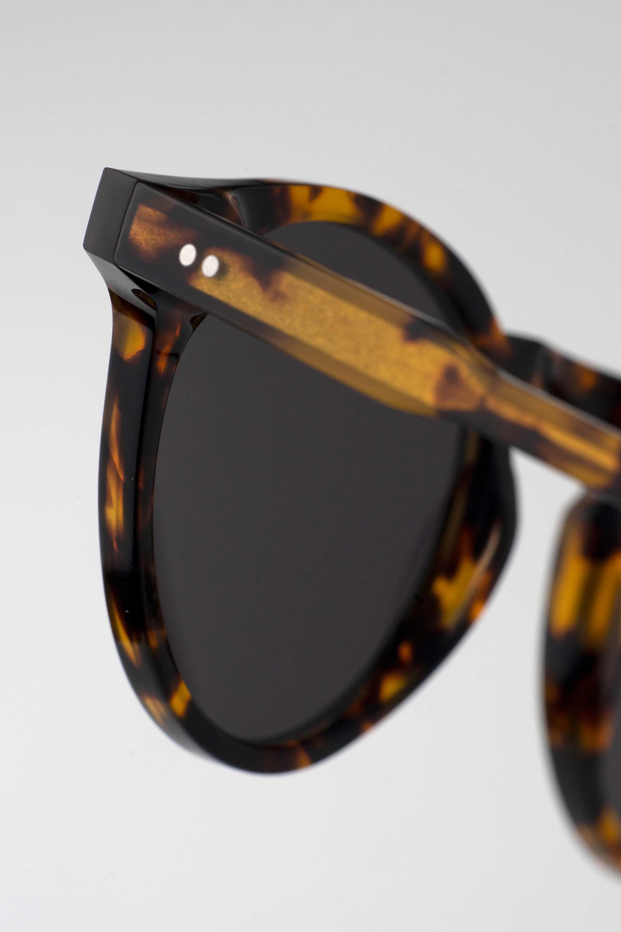 Forest Havana - Monokel Eyewear – Monokel Eyewear