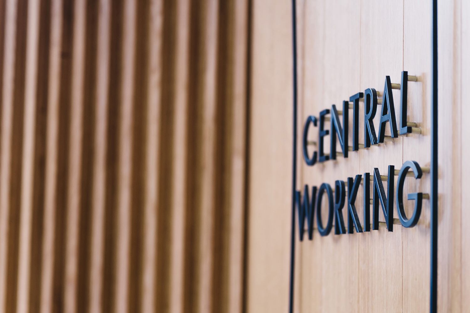 3D lettering signs made of black metal letters on a wooden office wall