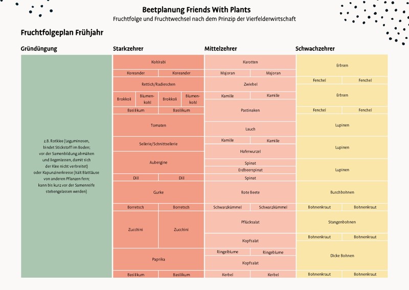 Anleitung Gemüsebeet planen + MusterBeetplan PRIMOZA Magazin