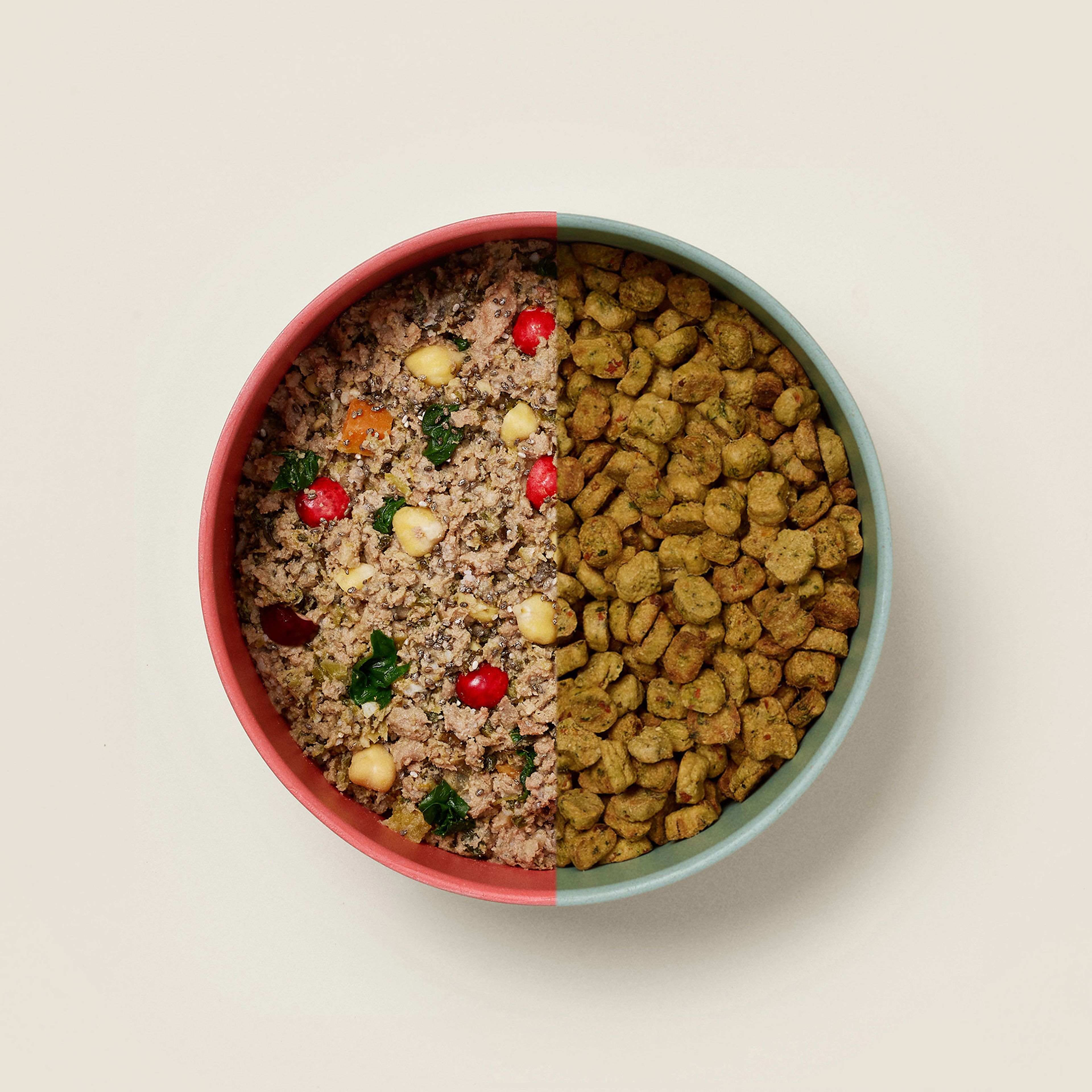 Meal Plan Options for Your Dog s Food