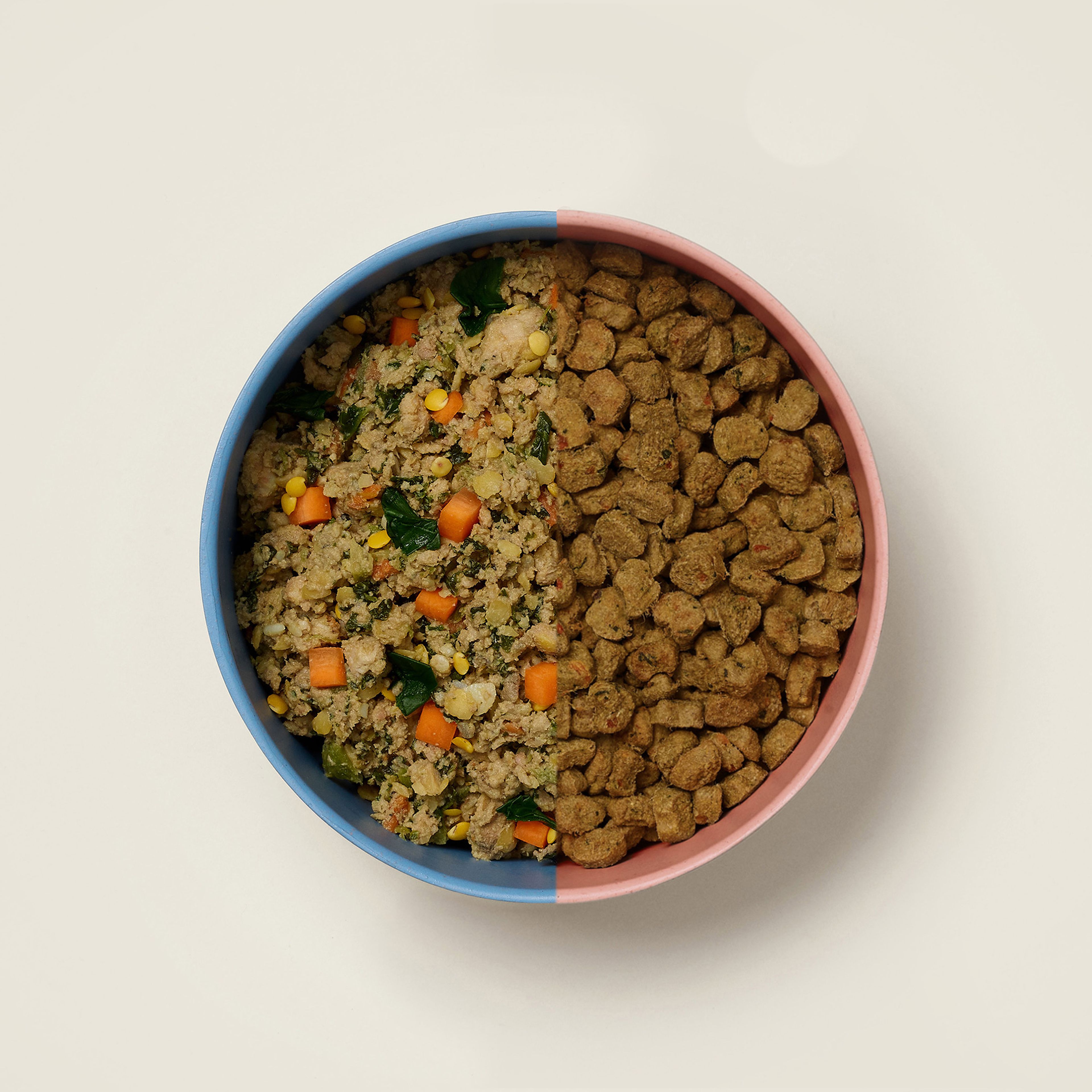 Homemade pet food delivery best sale