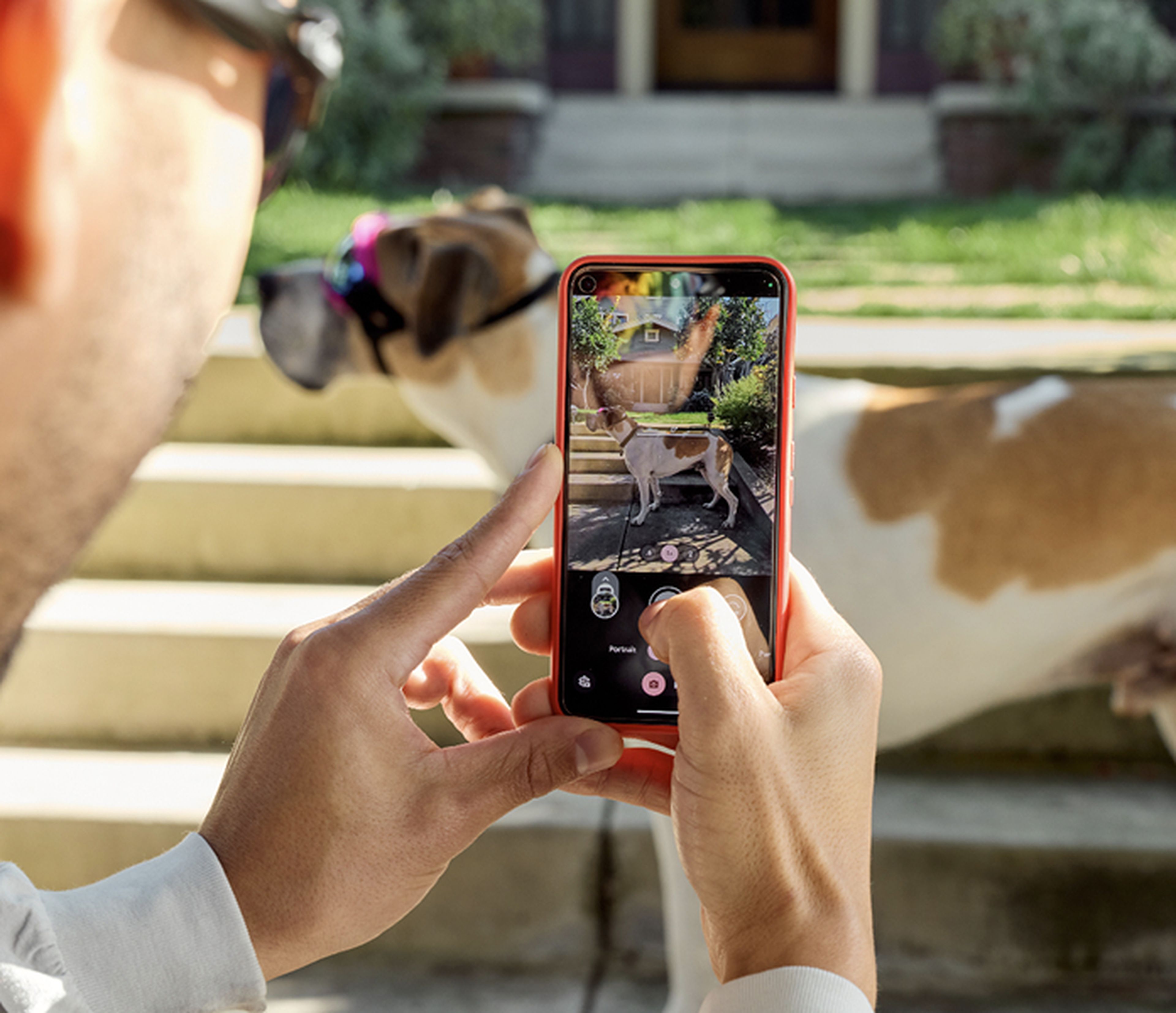 Taking a side photo of their dog with the Ollie app to check in on pup's weight