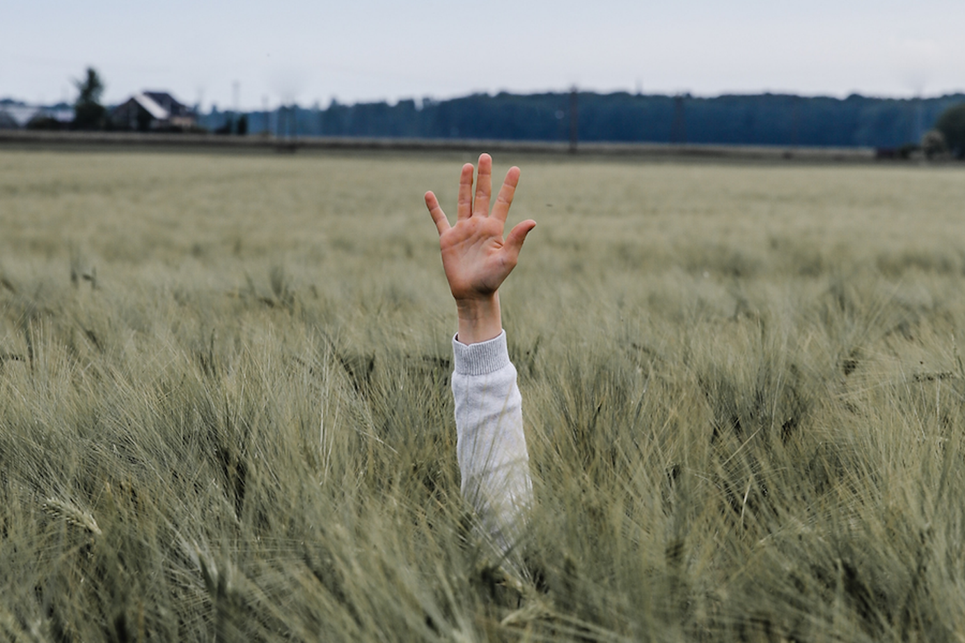 top-5-astuces-choix-logiciel-comptable