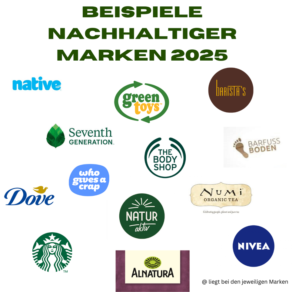 Beispiele nachhaltiger Marken 2025