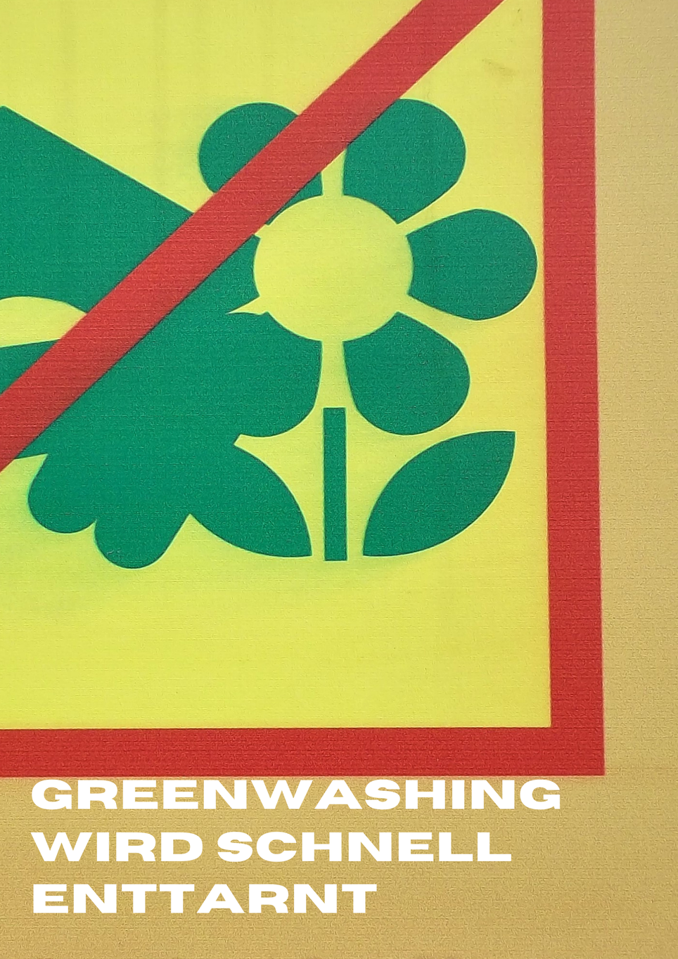 Herausforderungen für nachhaltige Marken