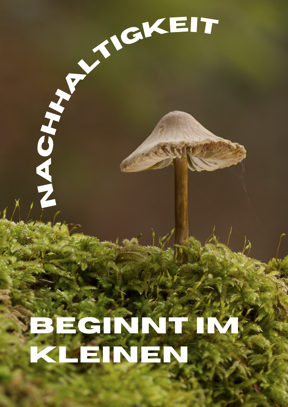 Nachhaltigkeit beginnt im kleinen