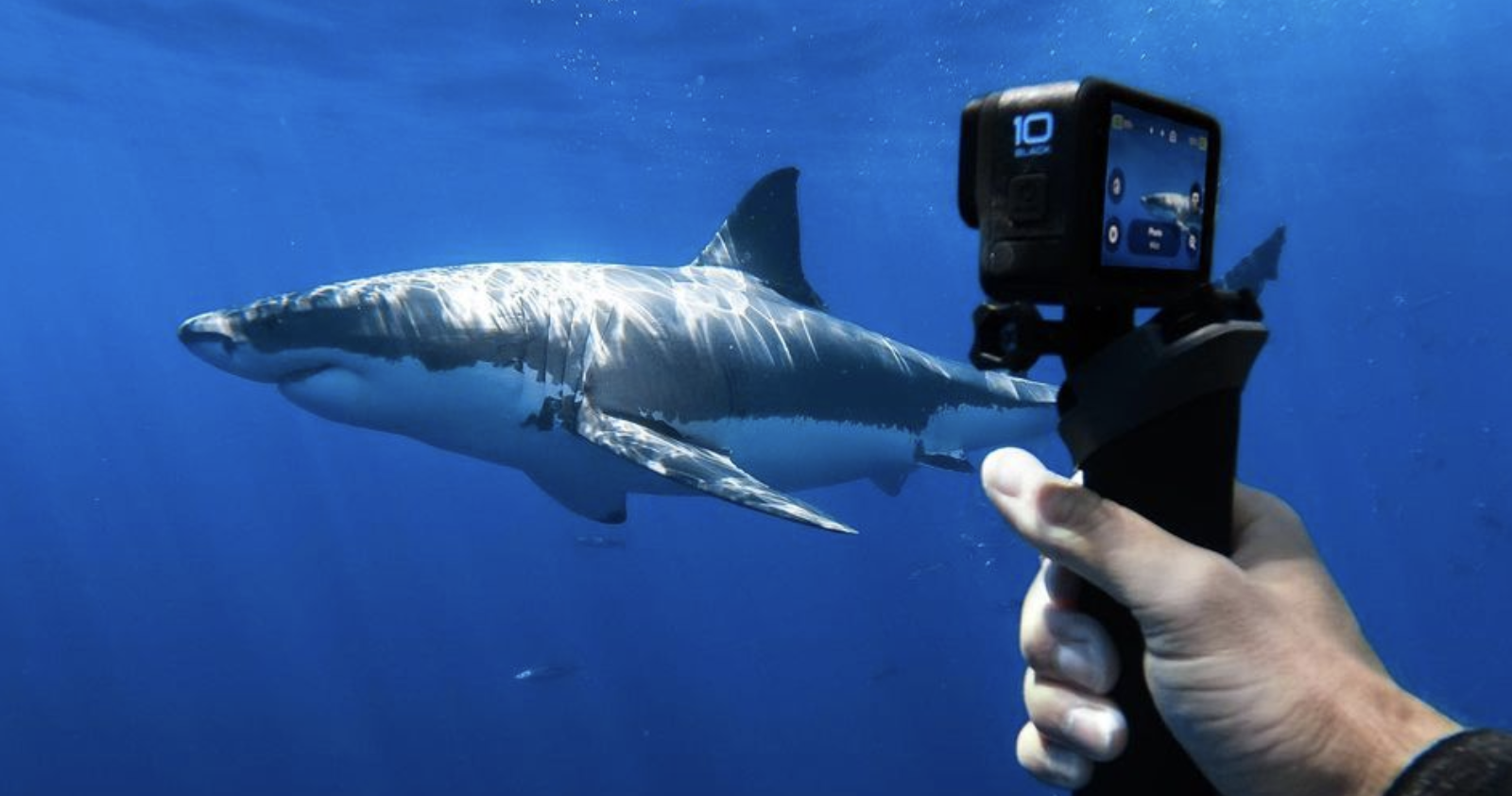 GoPro, Surf