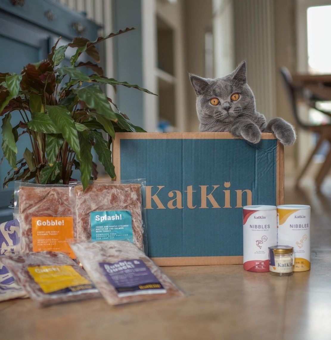 KatKin Healthy Cat Food 100 Premium Meat