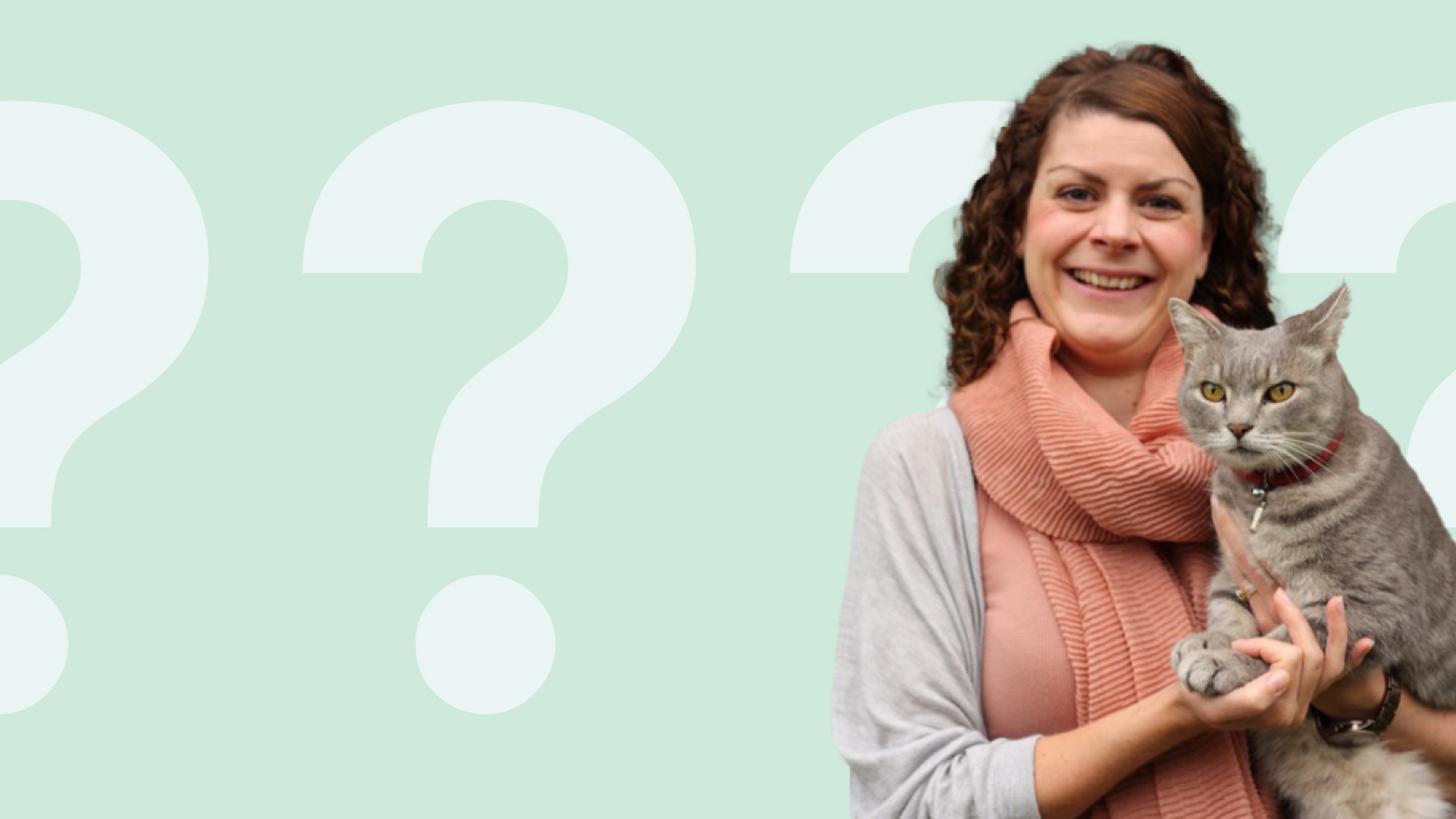 Dr Sarah Ellis on why do cats arch their backs? Napo Pet Care