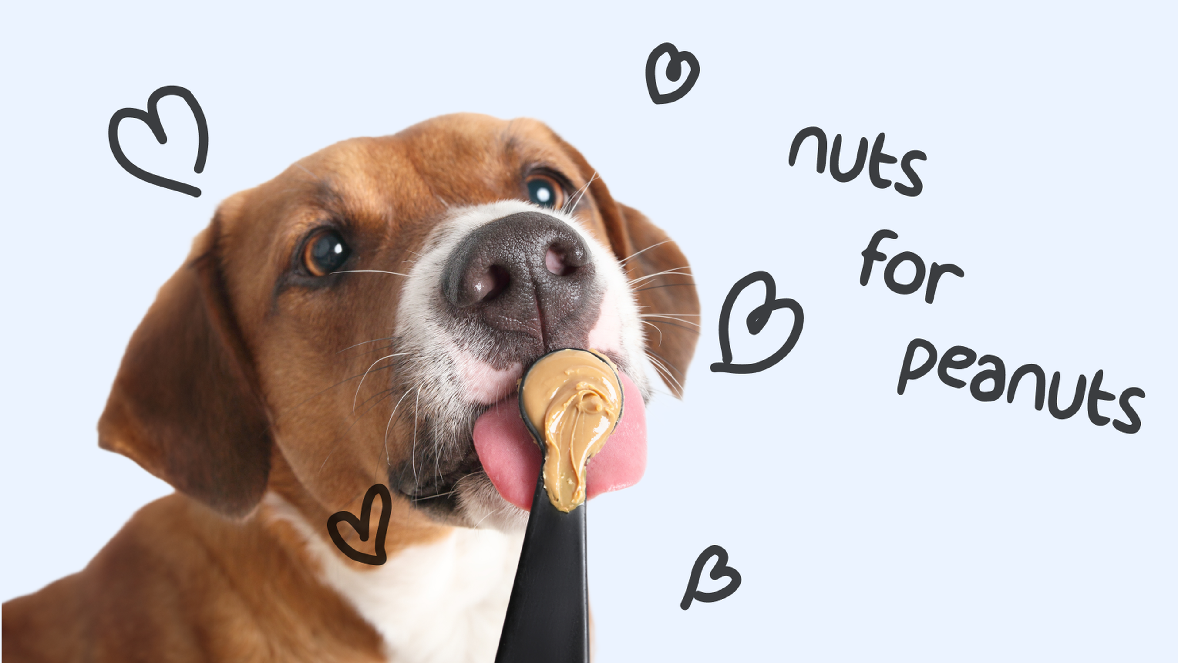 Is too much peanut outlet butter bad for dogs