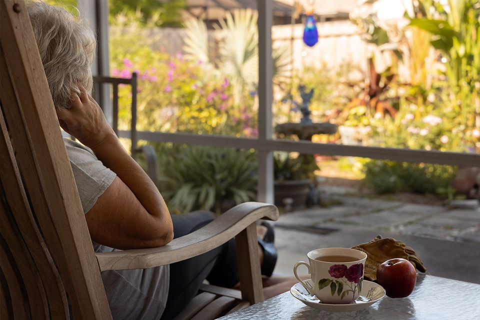 Blick aus dem Warmwintergarten