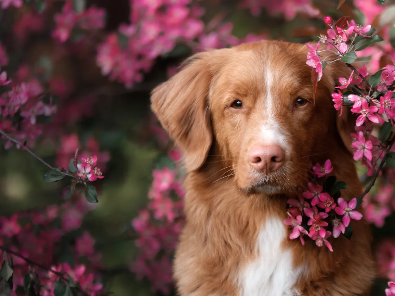 SKK invests in improved customer service!