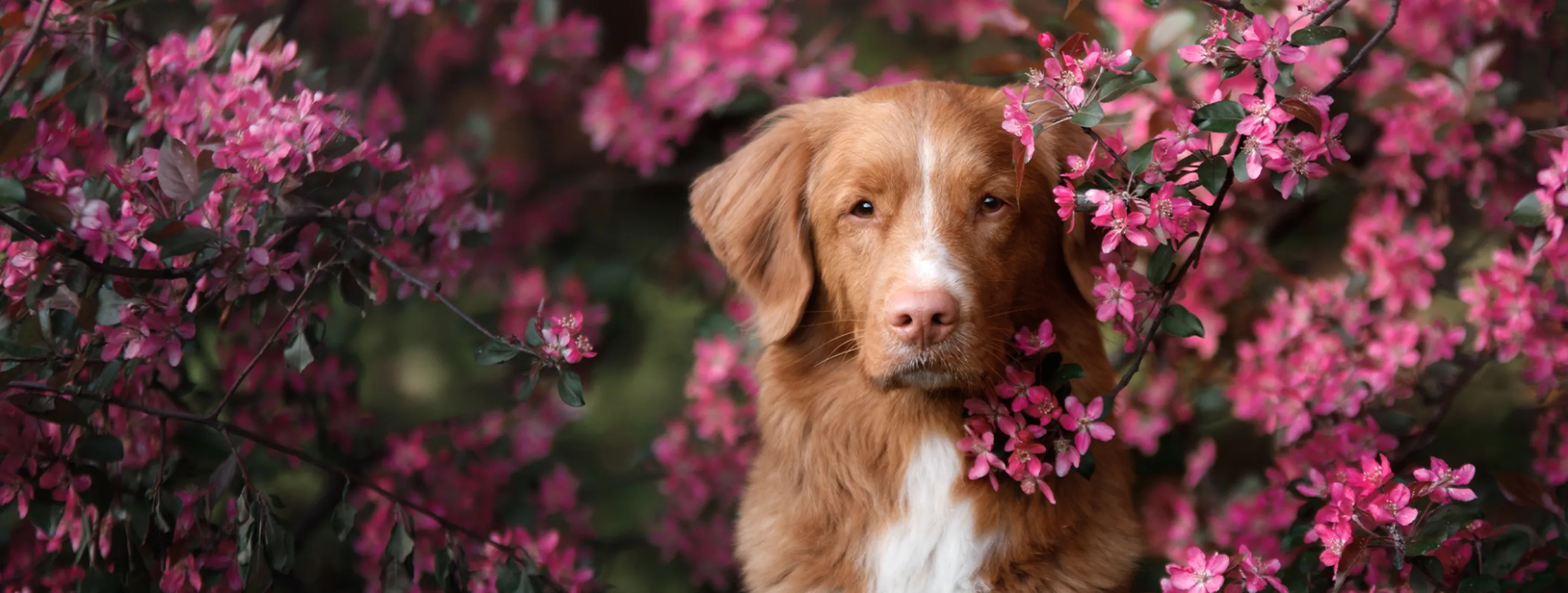 SKK invests in improved customer service!