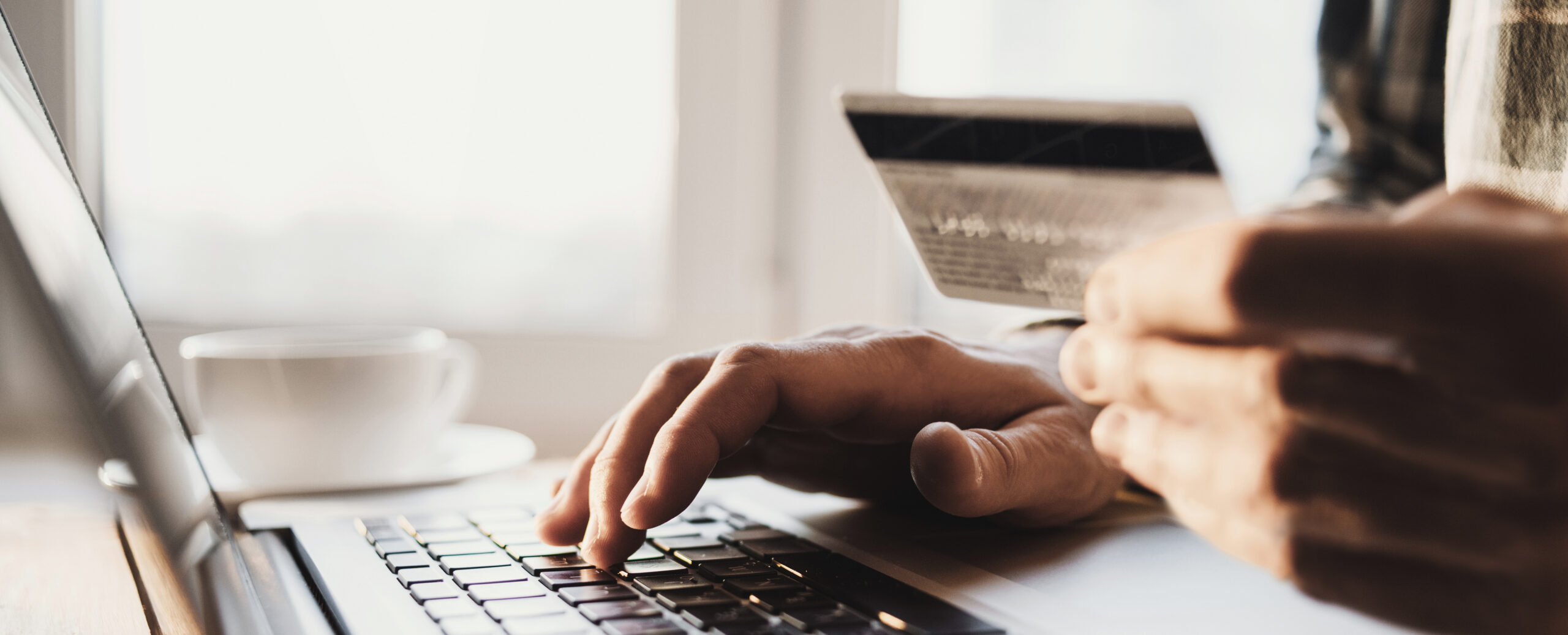 We cover the entire ecosystem of payment solutions - Nordic Web Team