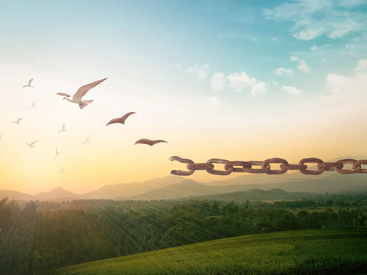 2022 - The year we broke the mold in eCommerce