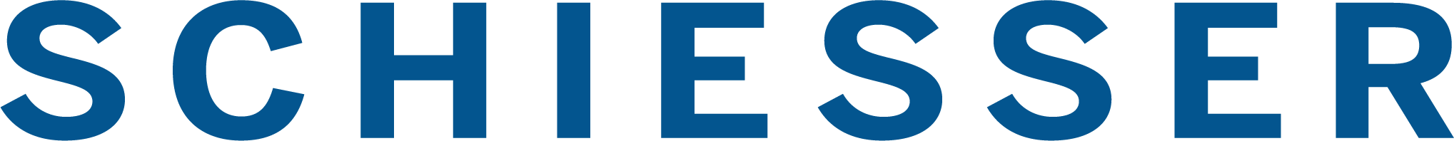 logo work schiesser