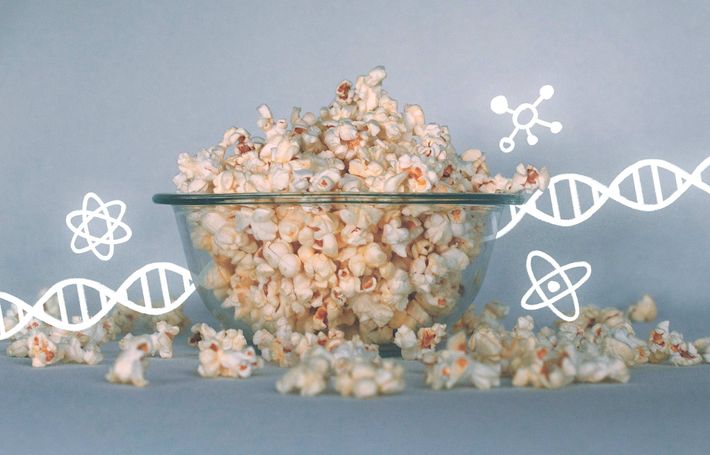 Eine Schale voll mit Popcorn steht auf einem grauen Hintergrund