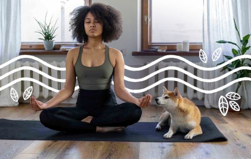 Frau in einem Meditationssitz mit geschlossenen Augen auf einer blauen Yogamatte, neben einem Hund.