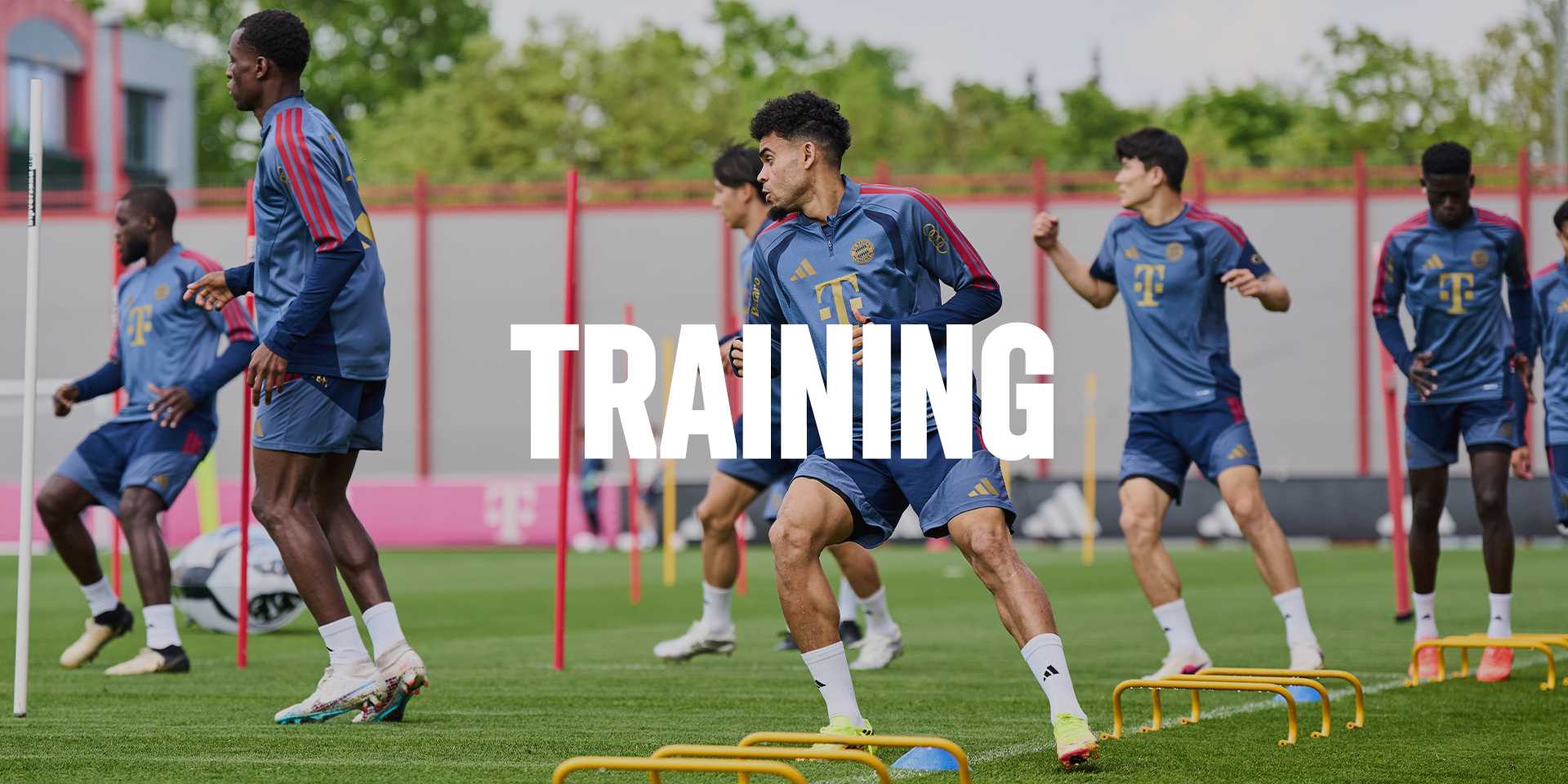 teamline-training_2x1