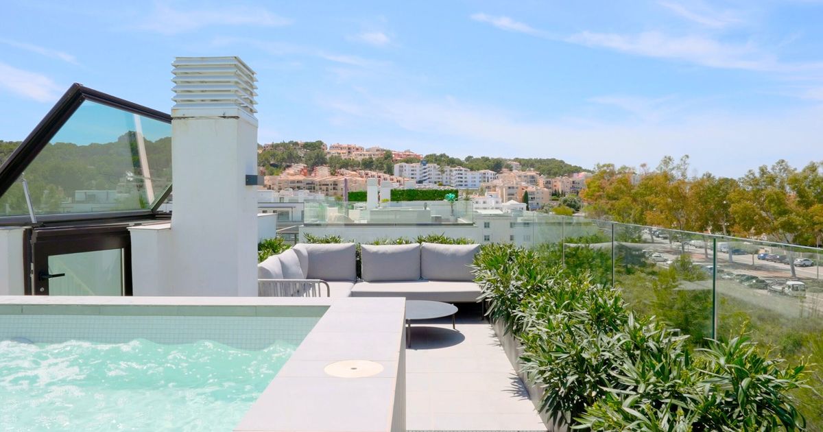 Curated visual reference: Visual Reference: Myne Modern New Build Penthouse With Roof Terrace And Private