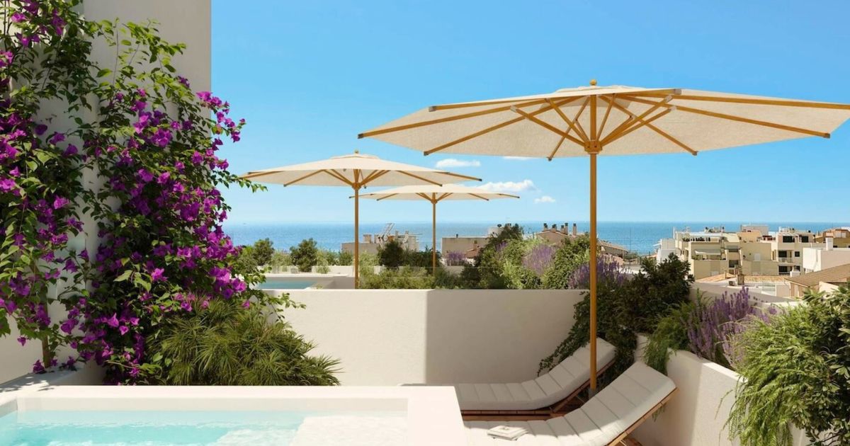 Image result for MYNE - New-build penthouse with private roof terrace, close to the ...