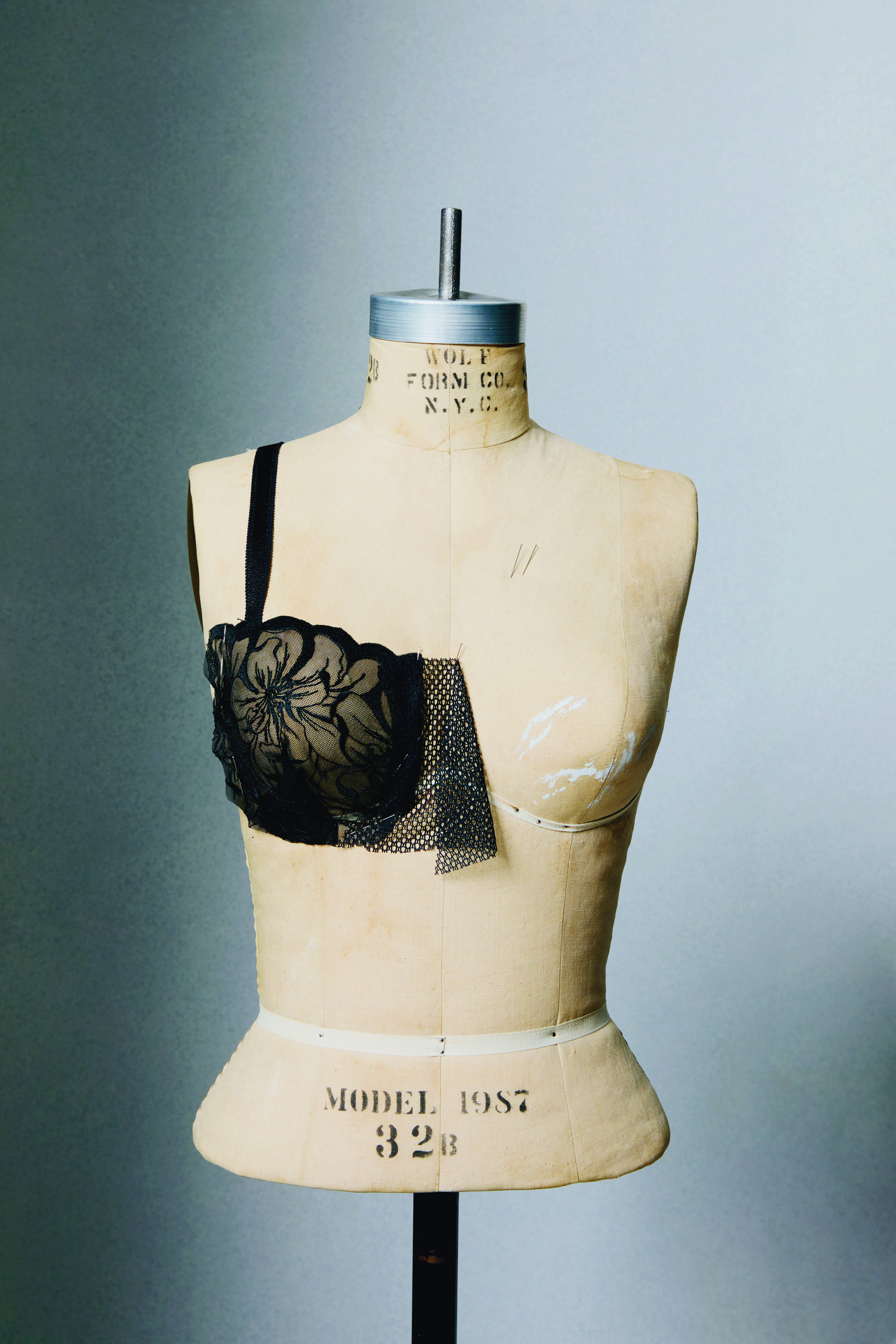 Bra on Bust- Anthology Blog Post 4