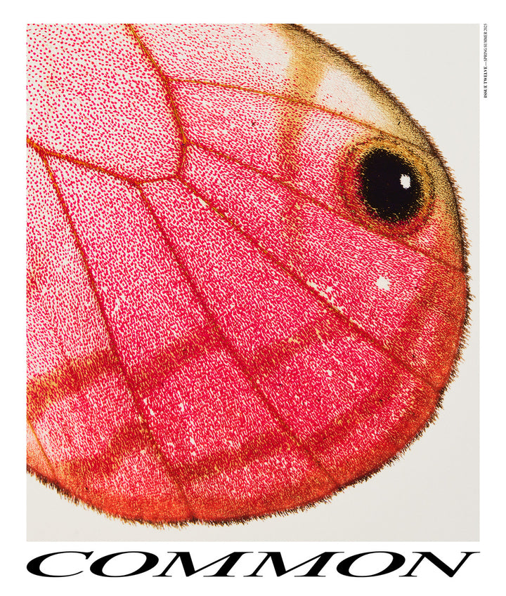 Common Language Magazine 12