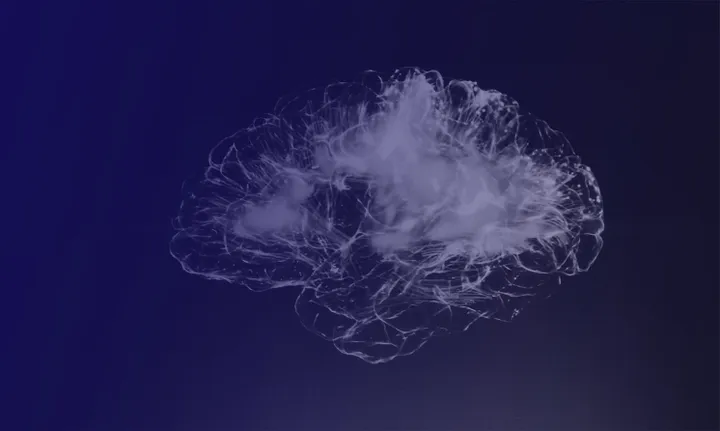 眼动追踪 - 探索认知过程之窗 