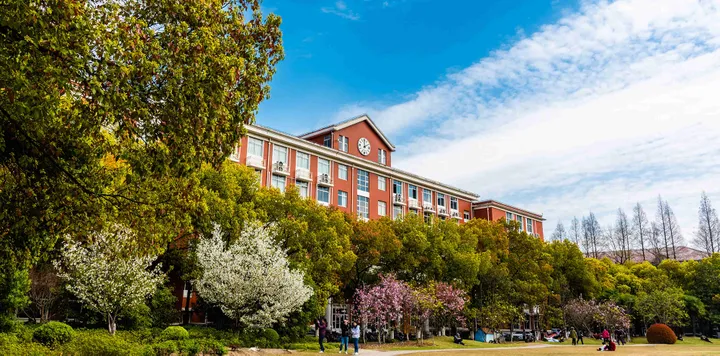 眼动追踪作为探索决策过程的有力工具 