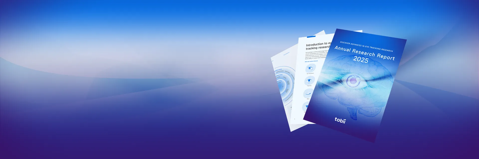 Annual Research Report 2025