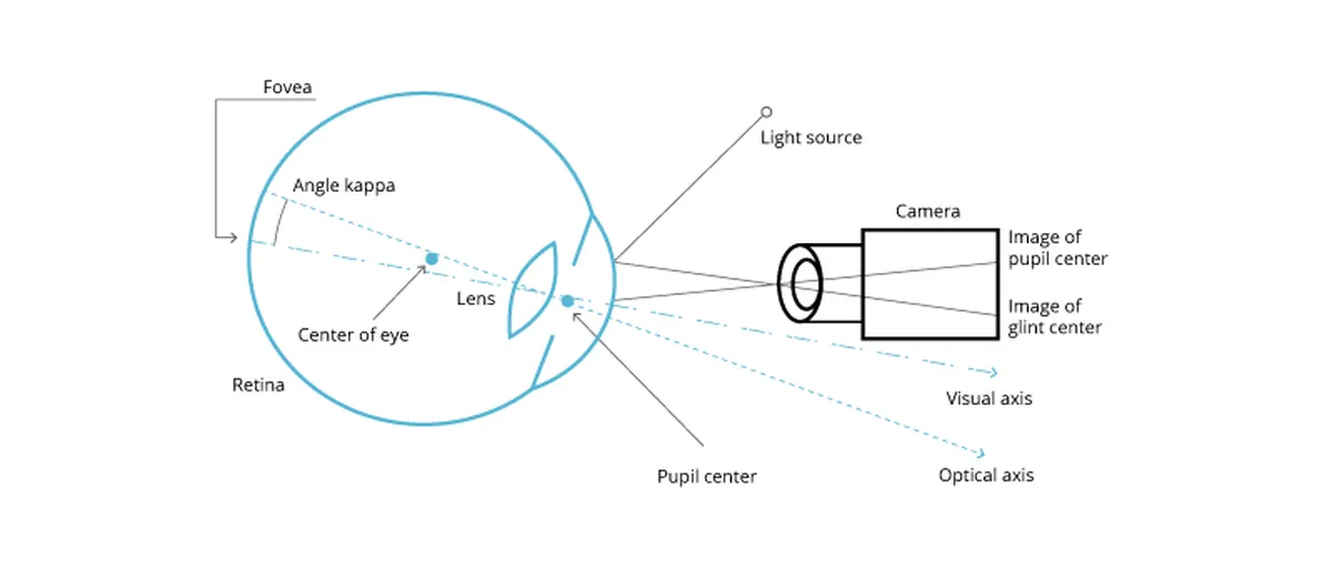 Basic eye tracking system with a camera, a light source, and a human eye
