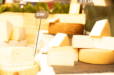 An assortment of cheeses displayed on a counter with labels, including one labeled "Schaf."