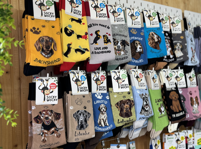 Colorful socks featuring various dog breeds hang on display with playful designs and text. The scene conveys a cheerful and whimsical tone.