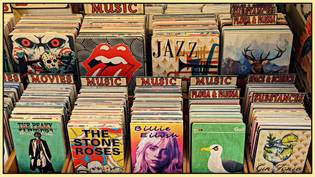 A display of vinyl records with colorful album covers, labeled sections include music, movies, jazz, flora & fauna, substances, and more.