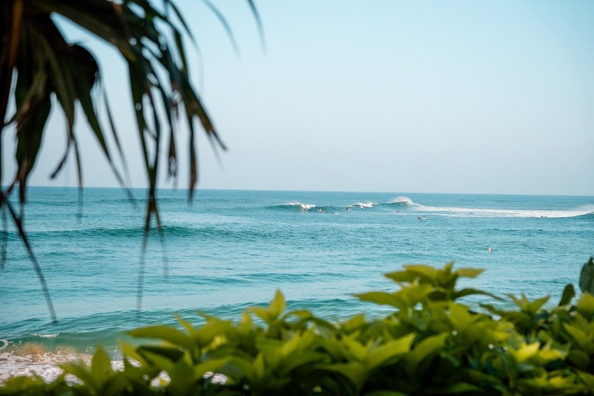Surfblend