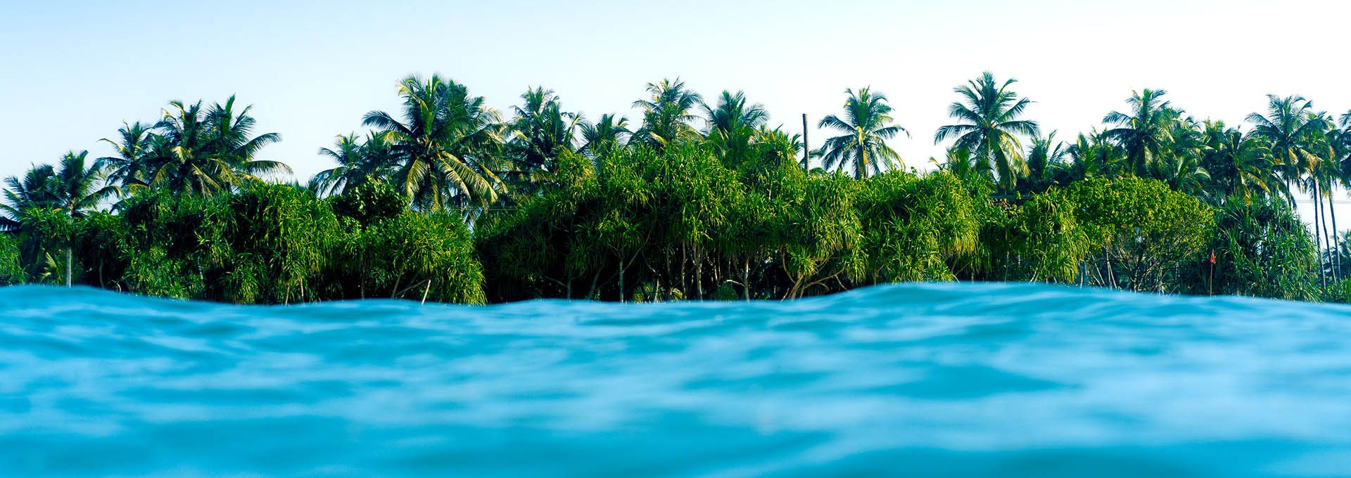 Surfblend surfvakanties